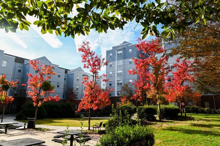 Walker/UCF courtyard with fall leaves